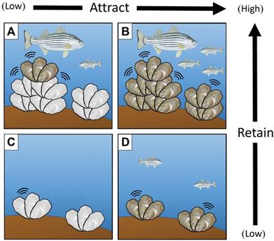 An Integrative Method For Enhancing the Ecological Realism of Aquatic Artificial Habitat Designs Using 3D Scanning, Printing, Moulding and Casting